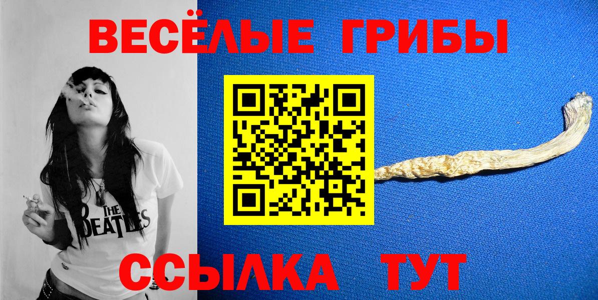 Галлюциногенные грибы GOLDEN TEACHER Сертолово