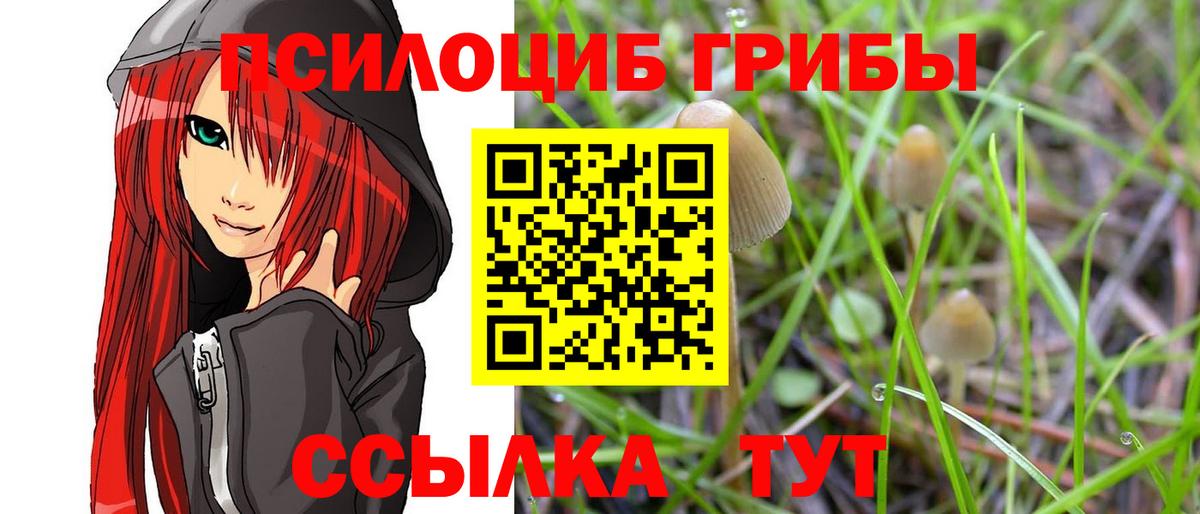 Сертолово  Галлюциногенные грибы мицелий  Вход с VPN  Галлюциногенные грибы ЛСД 